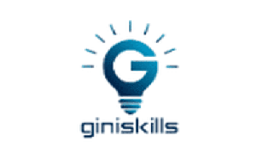 Gini Skills